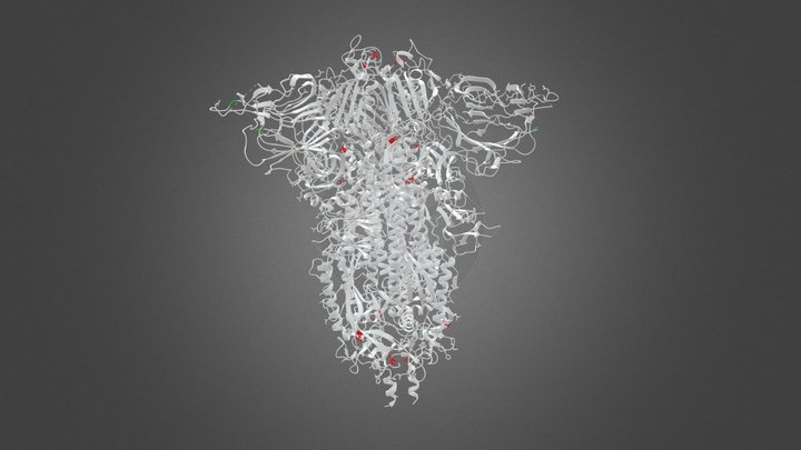 SARS-CoV-2 Spike Protein Molecular Structure 3D Model