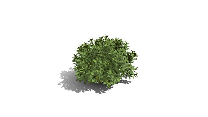 Realistic HD Chinese jungle geranium (8/10) 3D Model