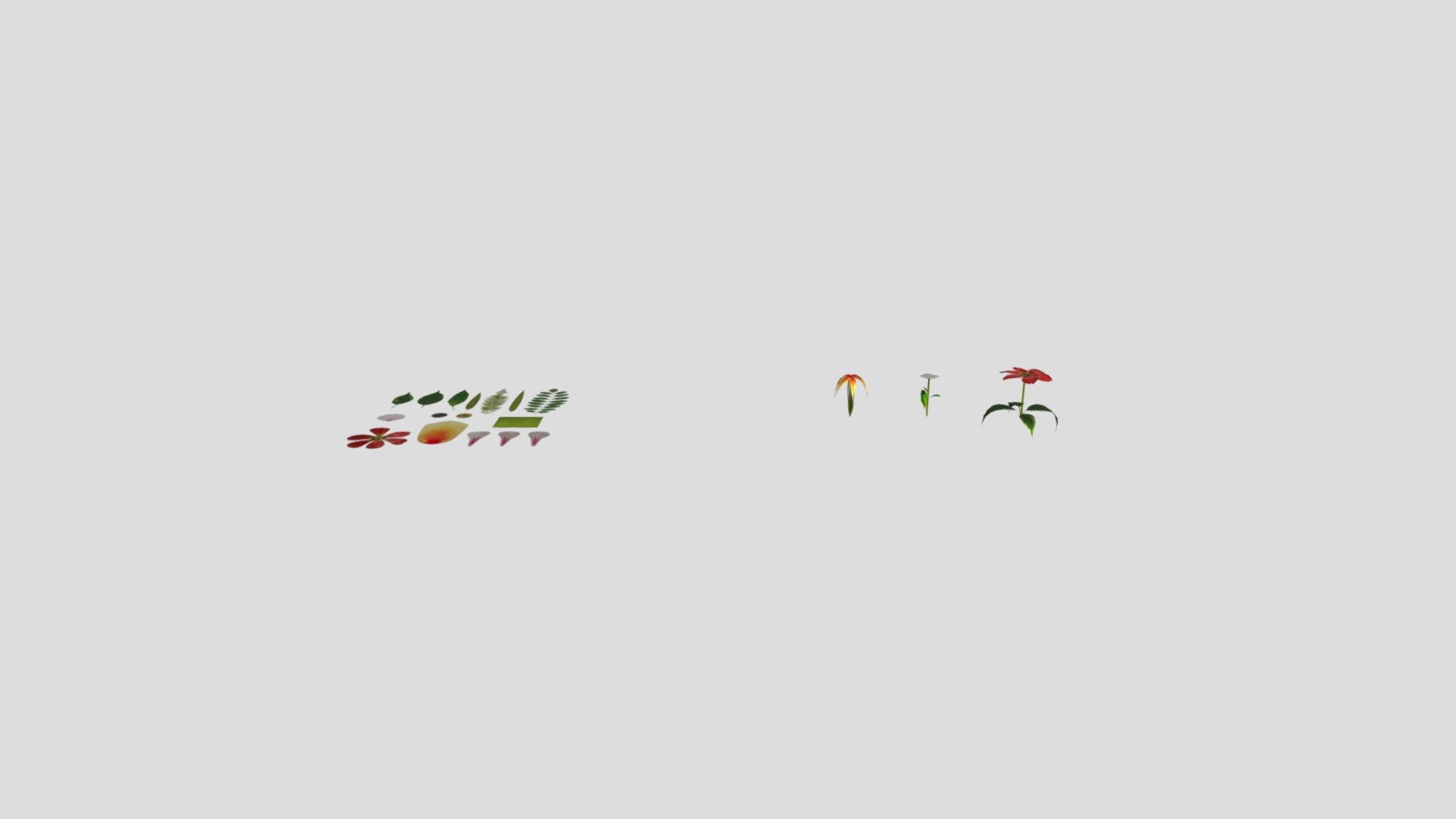 Pflanzen_Opacity_Damian_Krisor