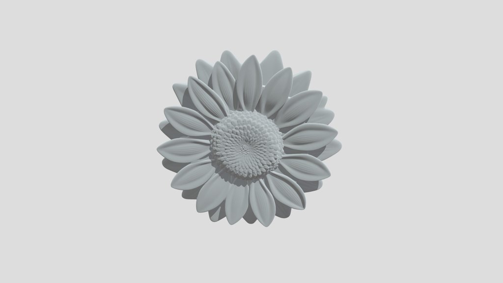 Golden Mesh Sunflower
