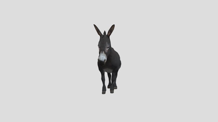 Donkey – Modèle 3D gratuit STL