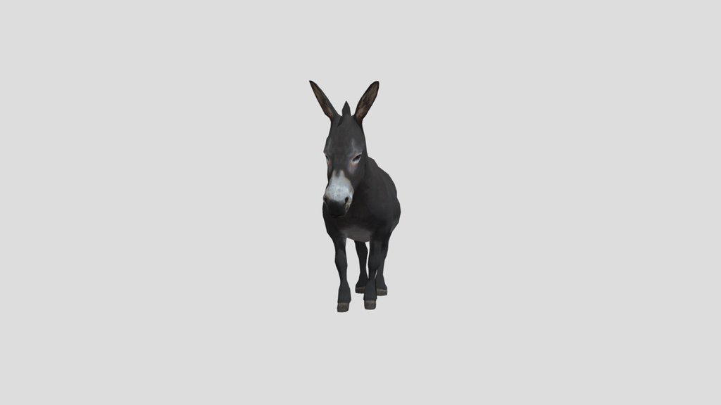 Donkey