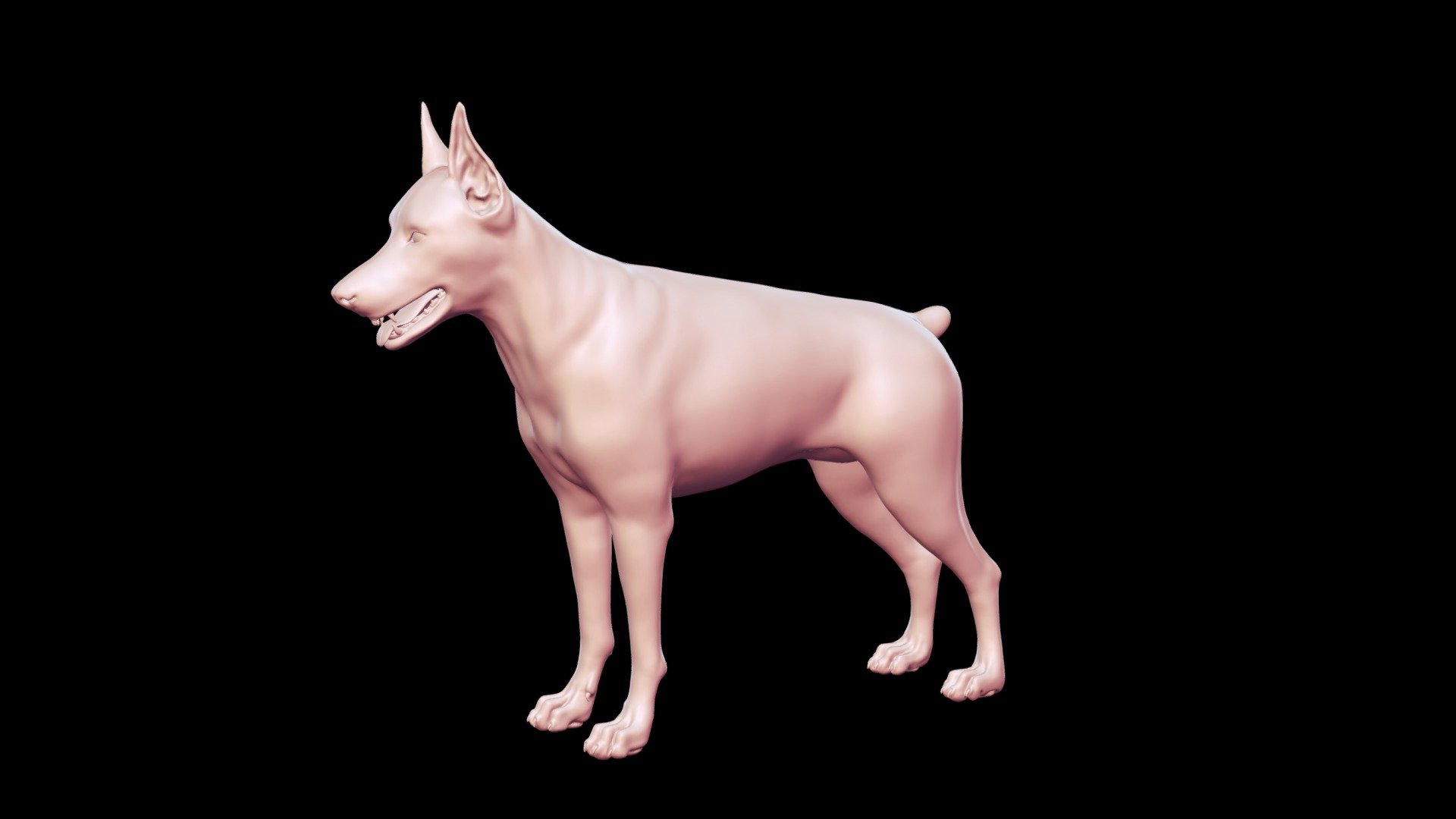 Doberman Base Mesh 3D model - Buy Royalty Free 3D model by Peternak 3D ...