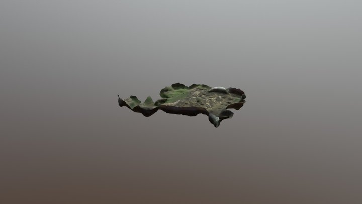 Açarlıktepe 3D Model