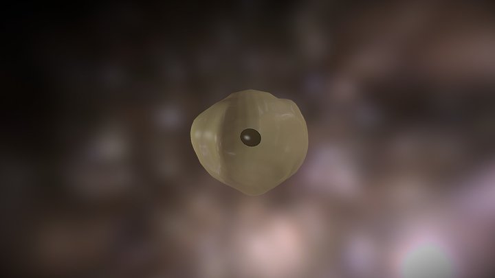 Cellule 3D Model