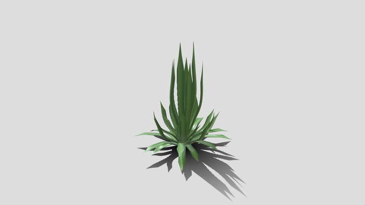 desert plant kit shin dagger 1 3D Model