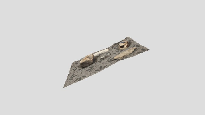 Digital h. II model 2 3D Model