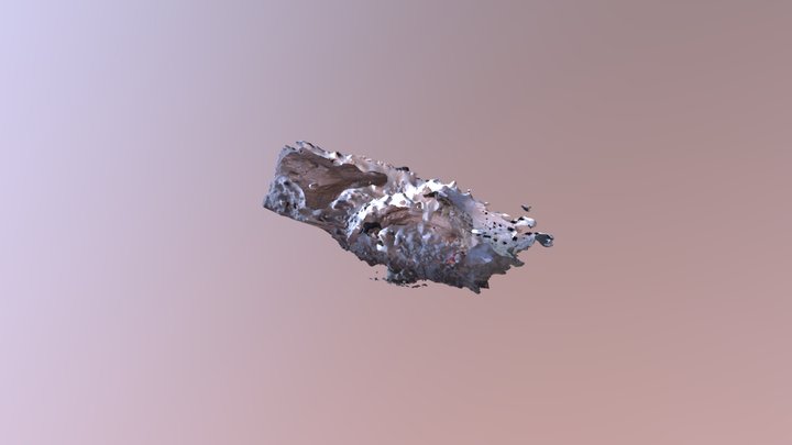 Cueva. Abrigo 3D Model