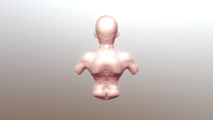SculptGL Model Practice 3D Model