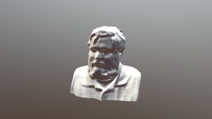 Bust Wip Solid #5 3D Model