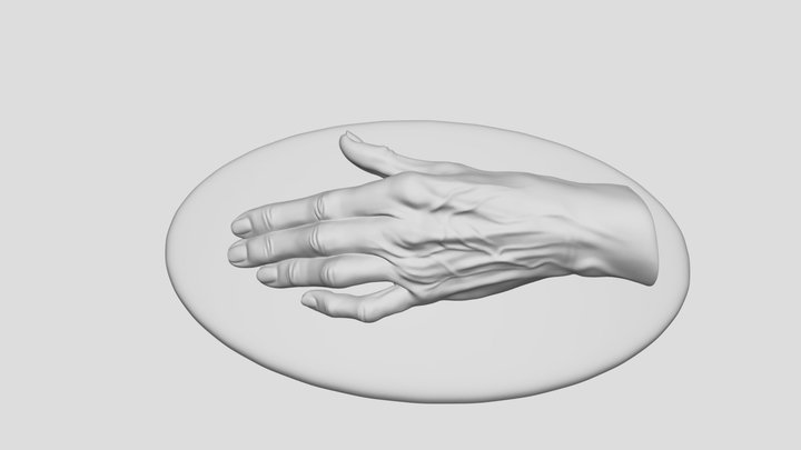 old woman hand 3D Model