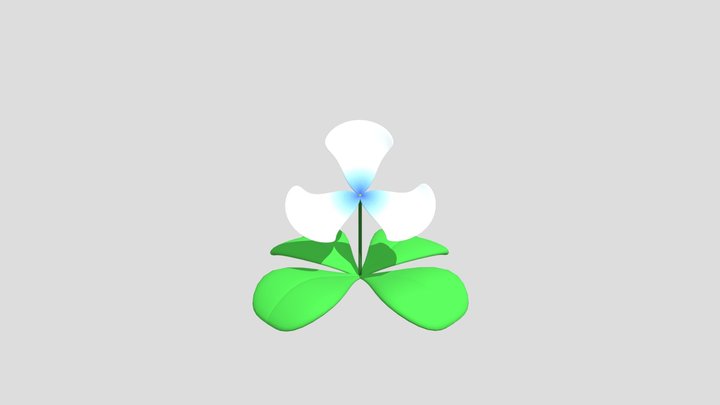 Cartoon Flower 3D Model