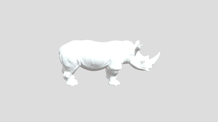 Rhinocerous 3D Model