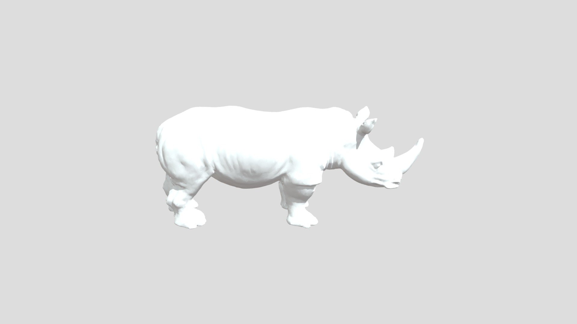 Rhinocerous