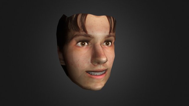 Face1 3D Model