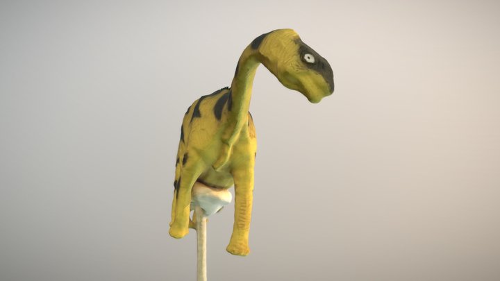 Dinosaur Scan 3D Model