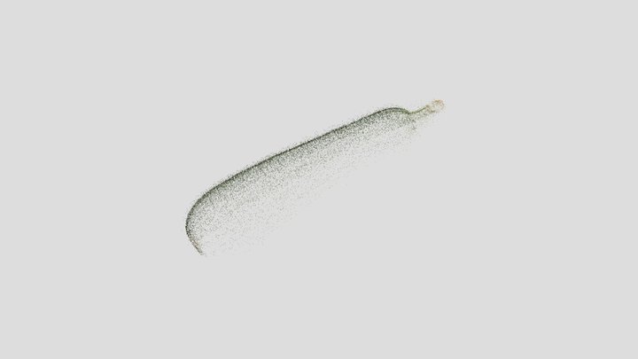 zucchini 3D Model
