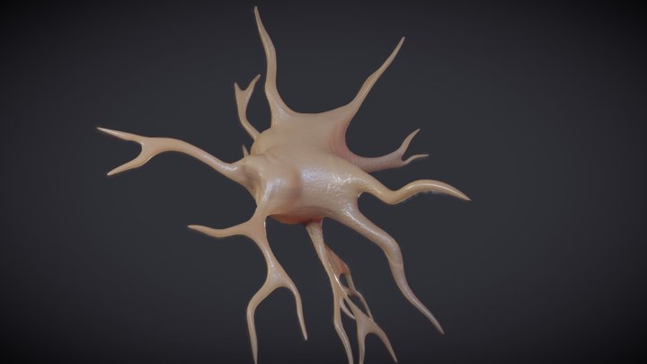 Nerve glial cell (microglia) 3D Model