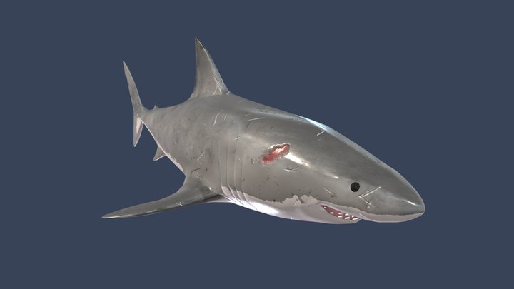 shark_textured 3D Model