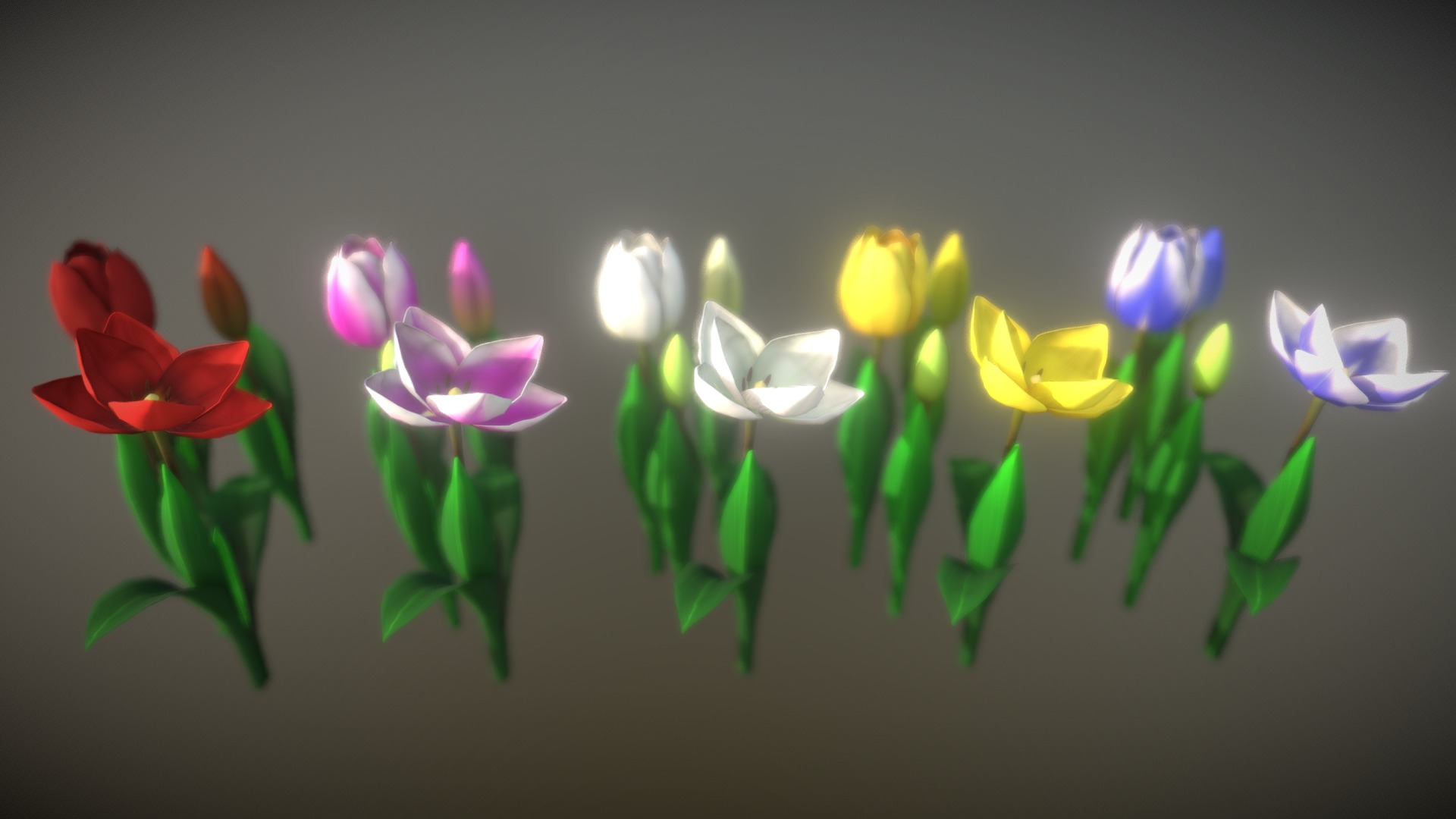 3D model Flower Tulip - This is a 3D model of the Flower Tulip. The 3D model is about a group of flowers.