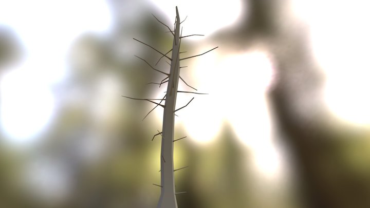 Low Poly Tall Tree 3D Model