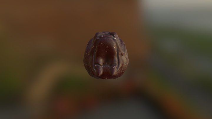 Schiam Prop 3D Model