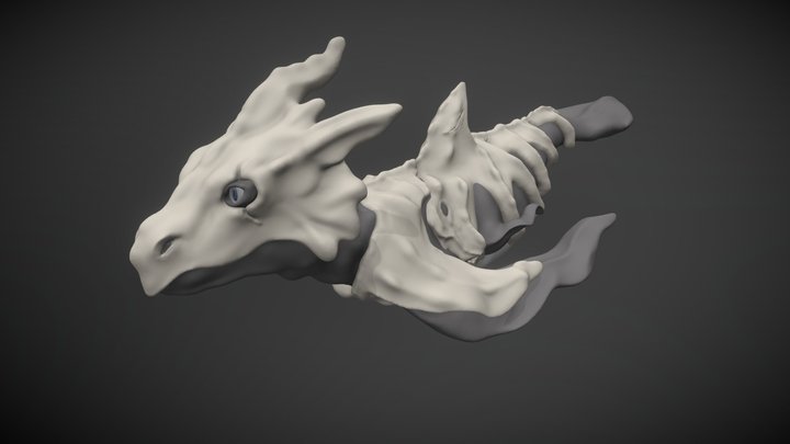 Ocean Creature 3D Model
