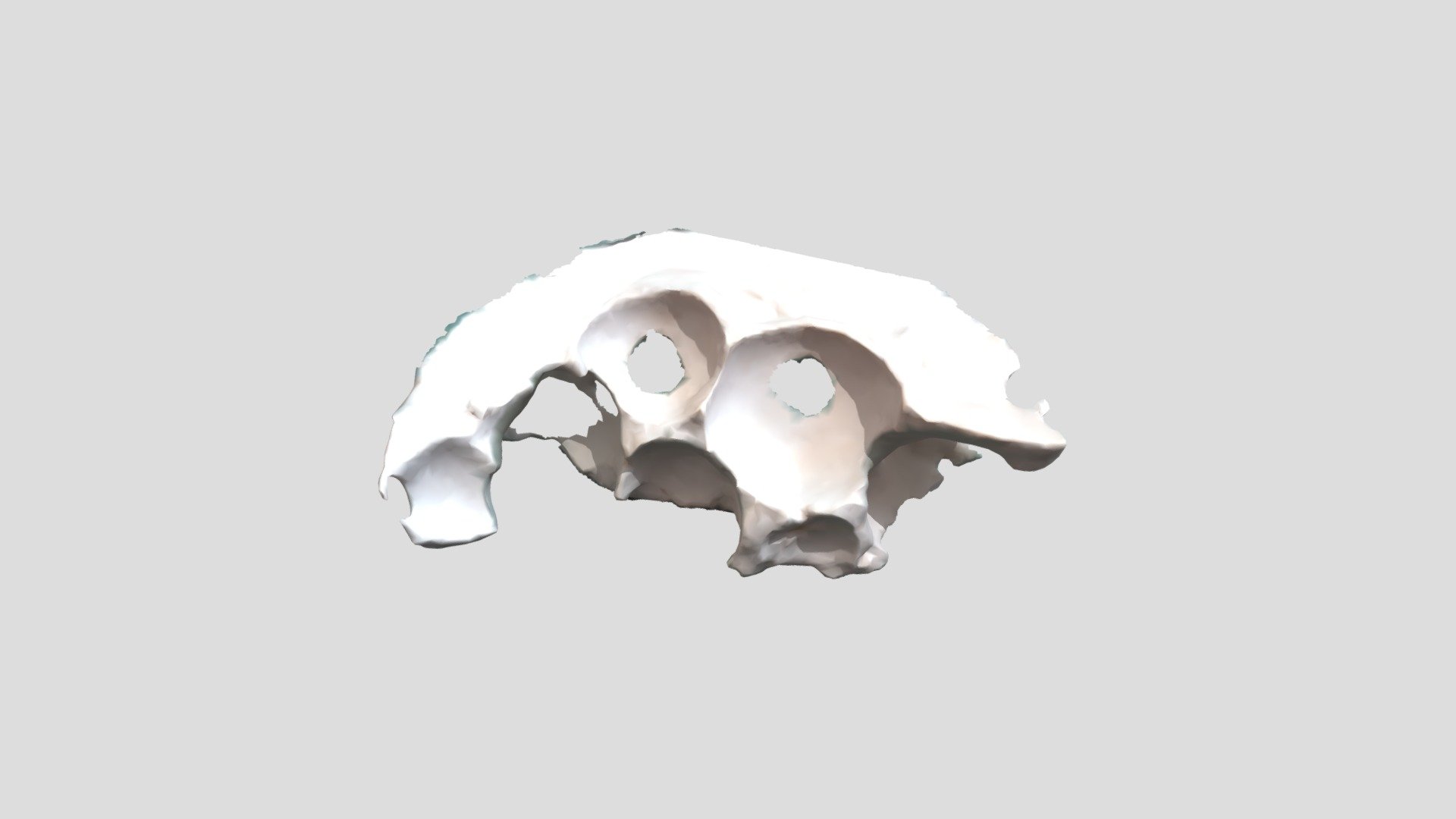 NEW PLASTER MODEL 04