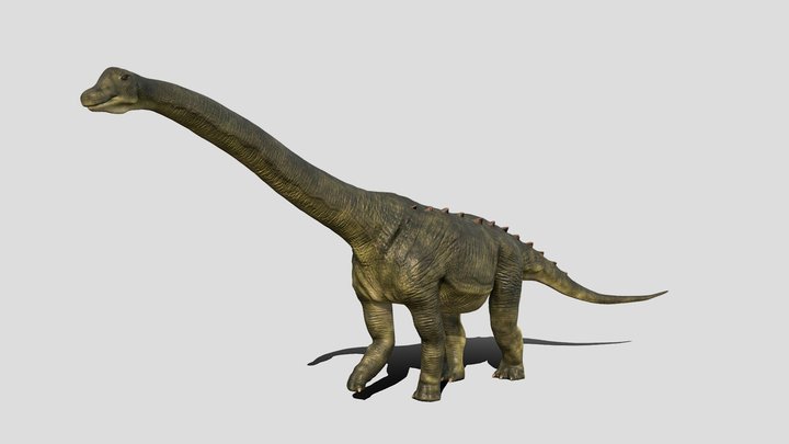 Alamosaurus 3D Model