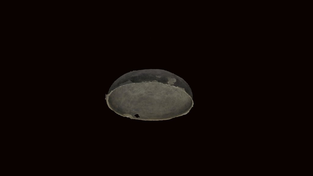 RC 293