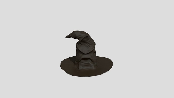 Selector Hat Harry Potter 3D Model