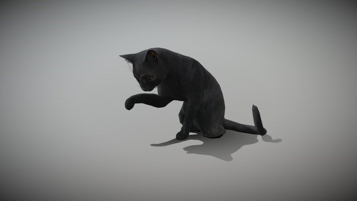 An Animated Cat 3D Model