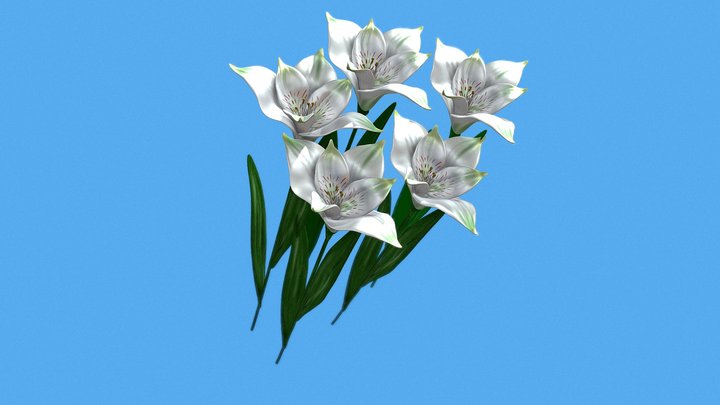 bouquet of alstroemerias 3D Model