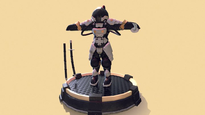 The Starcatcher 3D Model