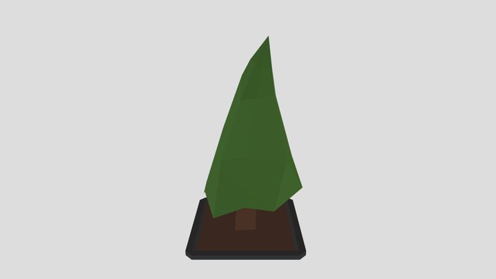 Pinheiro de chão 3D Model