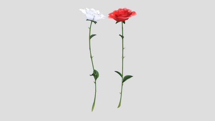 Open Bud Petals Single White And Red Rose 3D Model