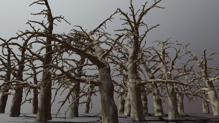 Pine Forest (high-poly) Tree Pack 3D Model