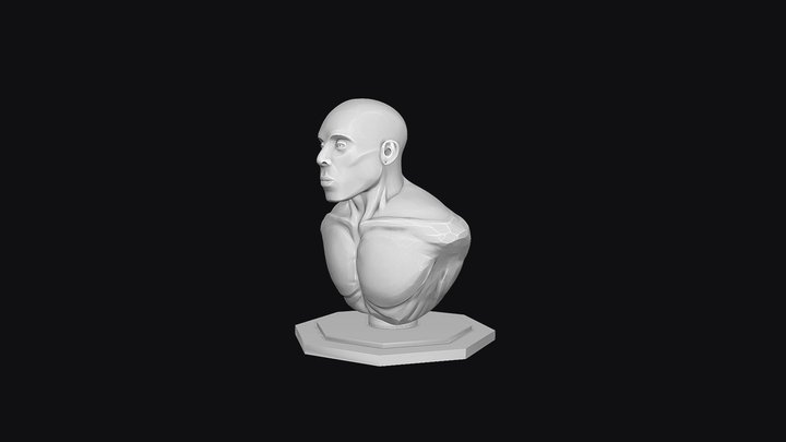 Greco-African Bust 3D Model
