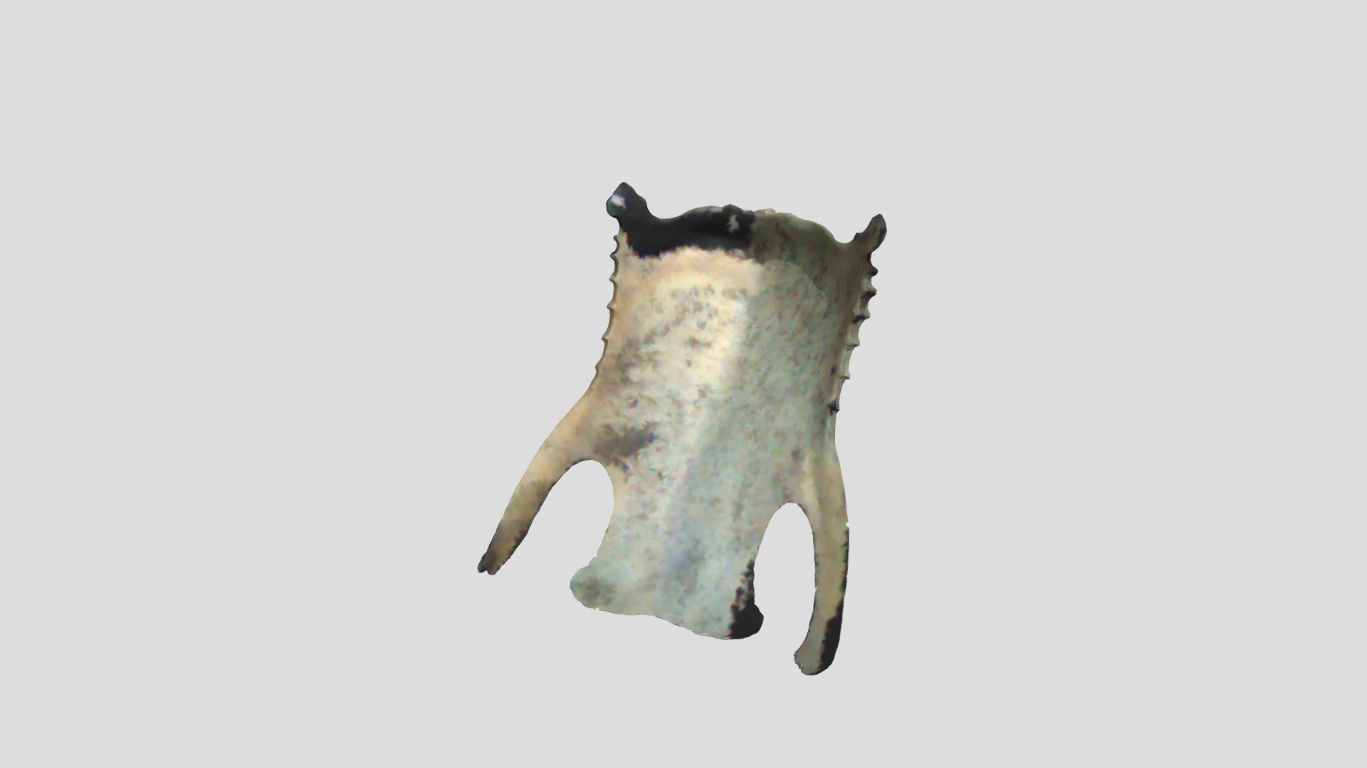 Bröstben fågel