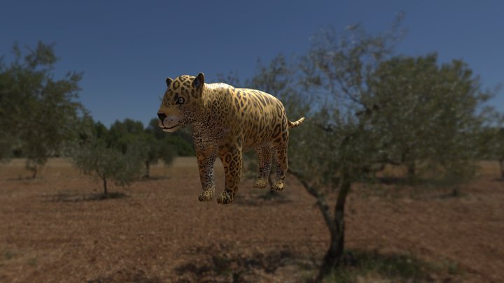Jaguar 3D Model