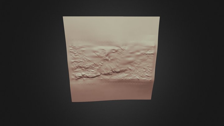 Mesh[bsbd-0 - Cloud] (level 8) 3D Model