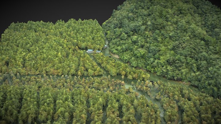 Forest – Kostenloses 3D-Modell STL