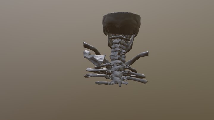 REAL C-SPINE 3D Model