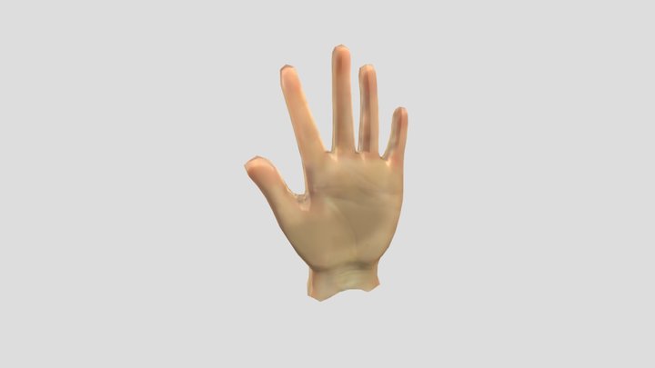Vero Hand 3D Model