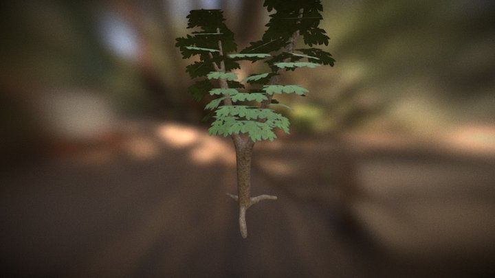 Living Tree 3D Model