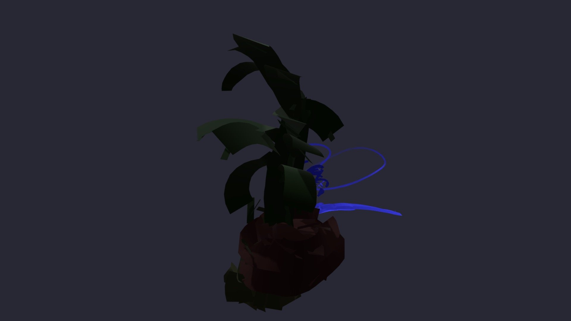 plant