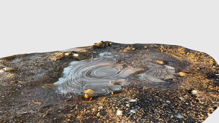 Frozen puddle 3 3D Model