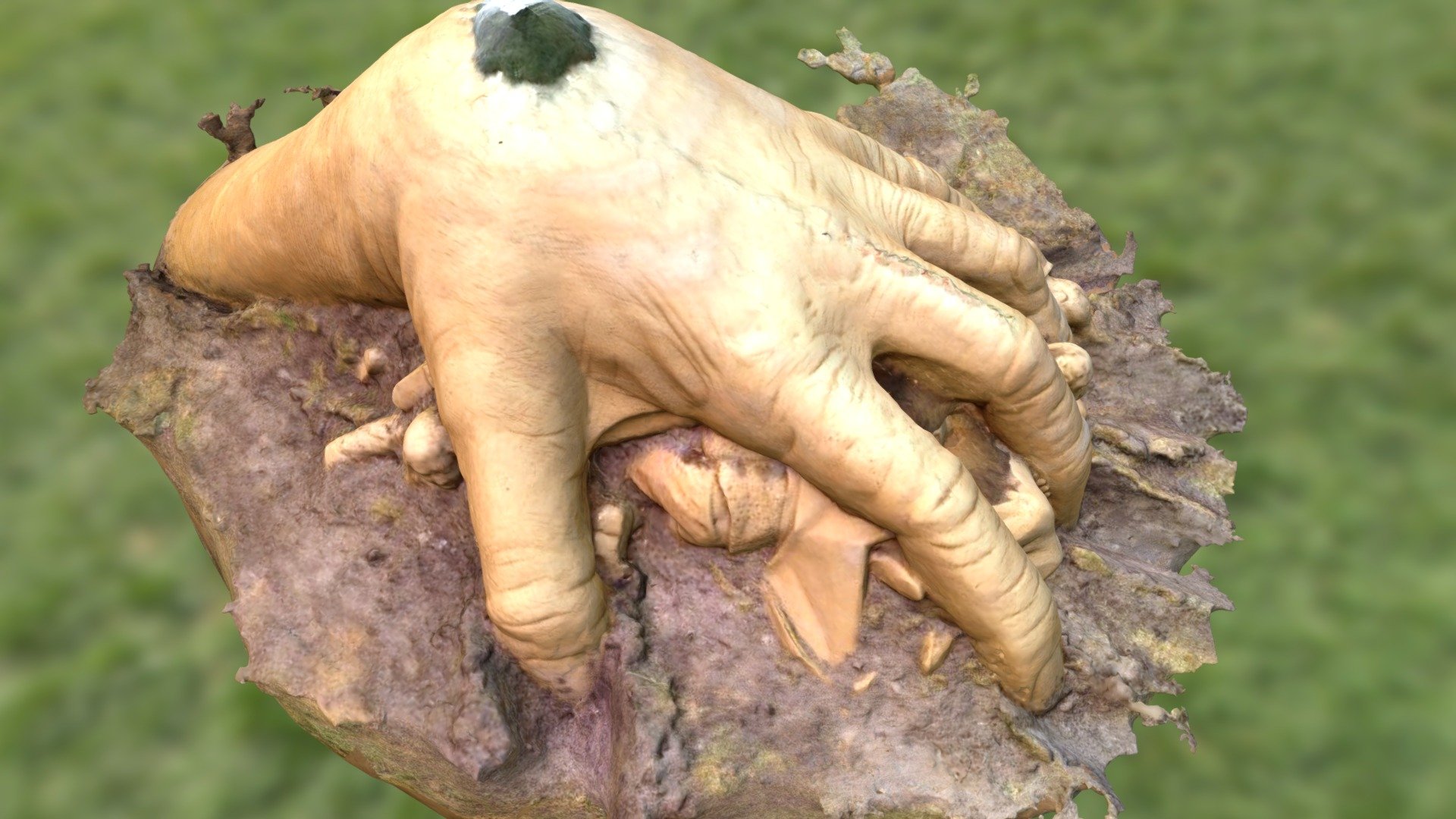 HAND Oscar