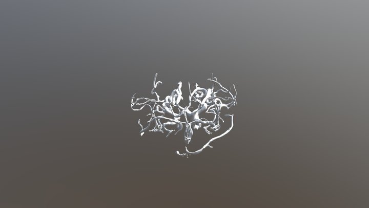 My model 3D Model