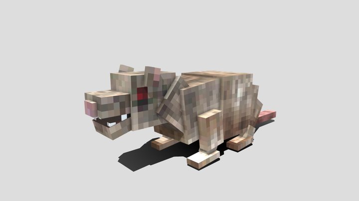 Giant rat 3D Model